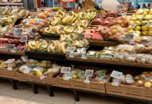 Megamark Adopts Tosca’s Wood Crates for Sustainability