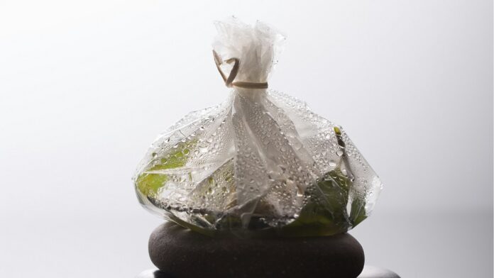 Plastic Packaging Market Growth