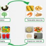 Protein-Based-Bioplastic-Films-for-Food-Packaging
