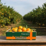 Mondi-supports-Özler-Tarım-reduce-food-waste-in-long-distance-shipments