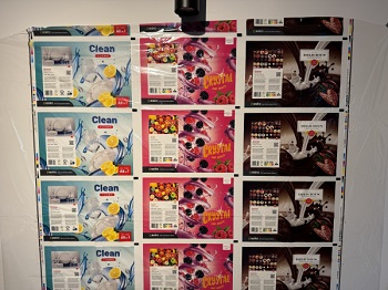 CLFQ Plate print samples produced