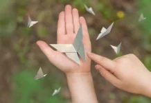 Redefining Soft Cheese Packaging: Insights from Amcor on Quality, Sustainability and Consumer Perception Soft cheese packaging