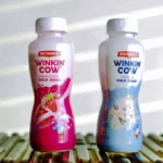 Aseptic-PET-Packaging