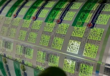 Polytag, Saica Flex and Paragon Inks Launch UV-Tagged Labels UVTagged