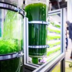 digital-green-and-energy-innovation