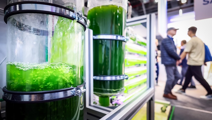 digital green and energy innovation