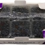 13083_Xflow_packaging_blues