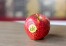 UPM Specialty Papers now offers compostable label face papers for fruit and vegetable stickers