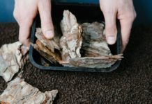 Bpacks Launches World’s First Bark-Based Packaging Technology to Replace Seamlessly Plastic Materials Bpacks Launches World's First Bark-Based Packaging Technology to Replace Seamlessly Plastic Materials