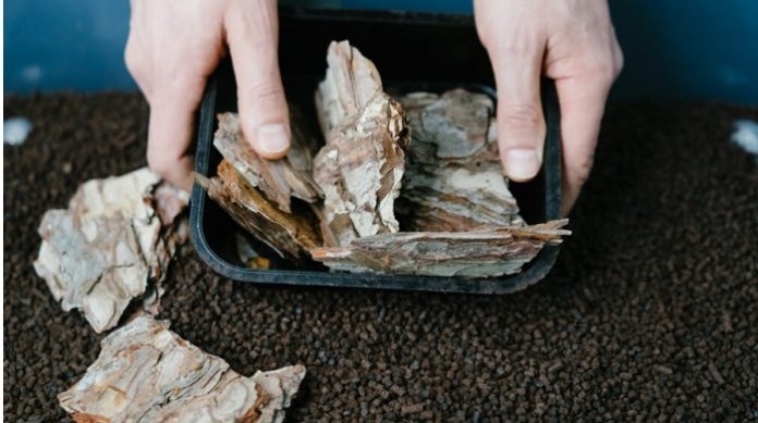 Bpacks Launches World's First Bark-Based Packaging Technology to Replace Seamlessly Plastic Materials Bpacks Launches World's First Bark-Based Packaging Technology to Replace Seamlessly Plastic Materials